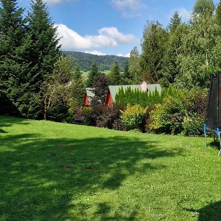 Domki Pod Kiczera W Baligrodzie, Bieszczady Экстерьер фото